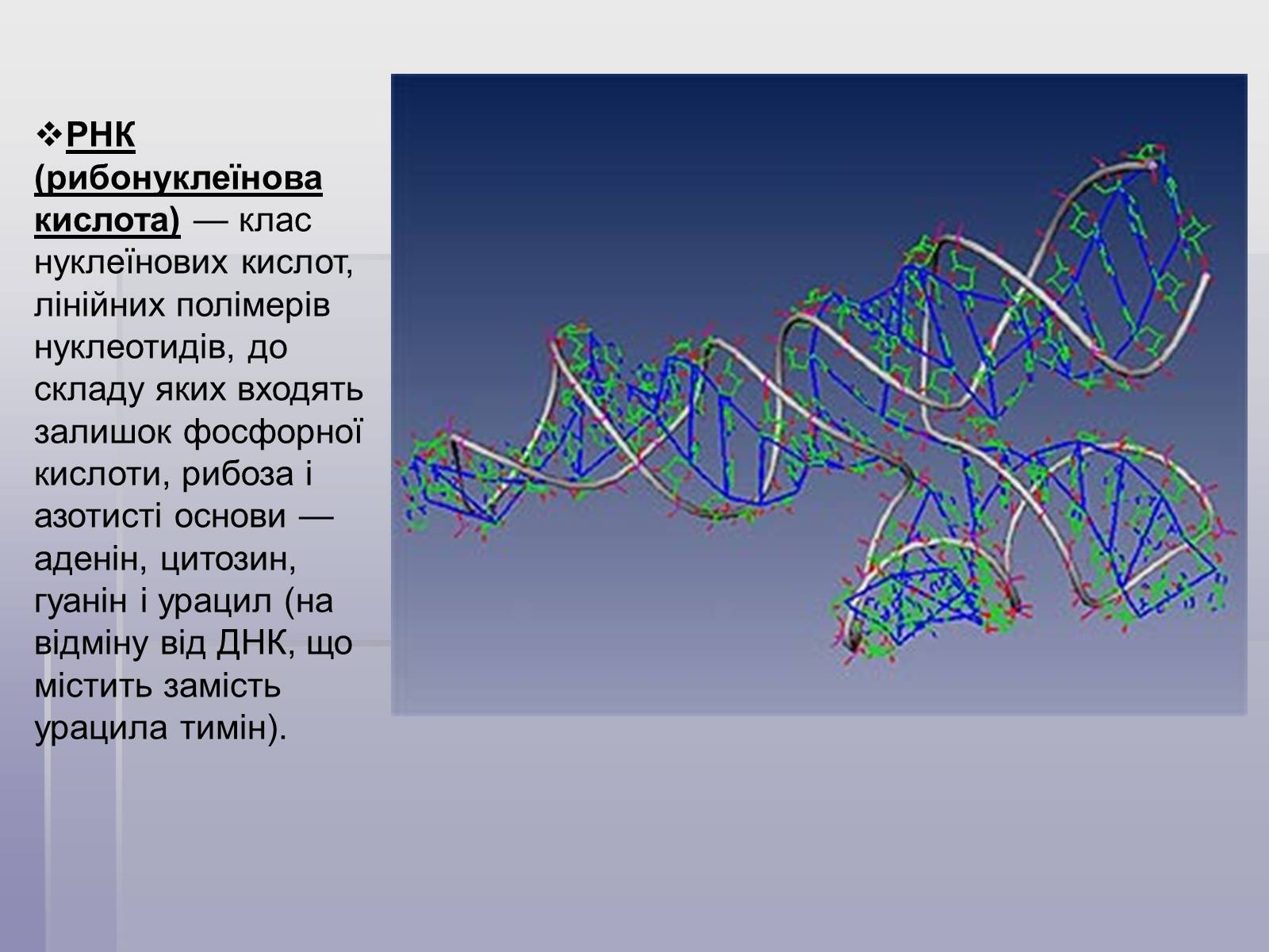 Презентація на тему «ДНК» (варіант 1) - Слайд #2