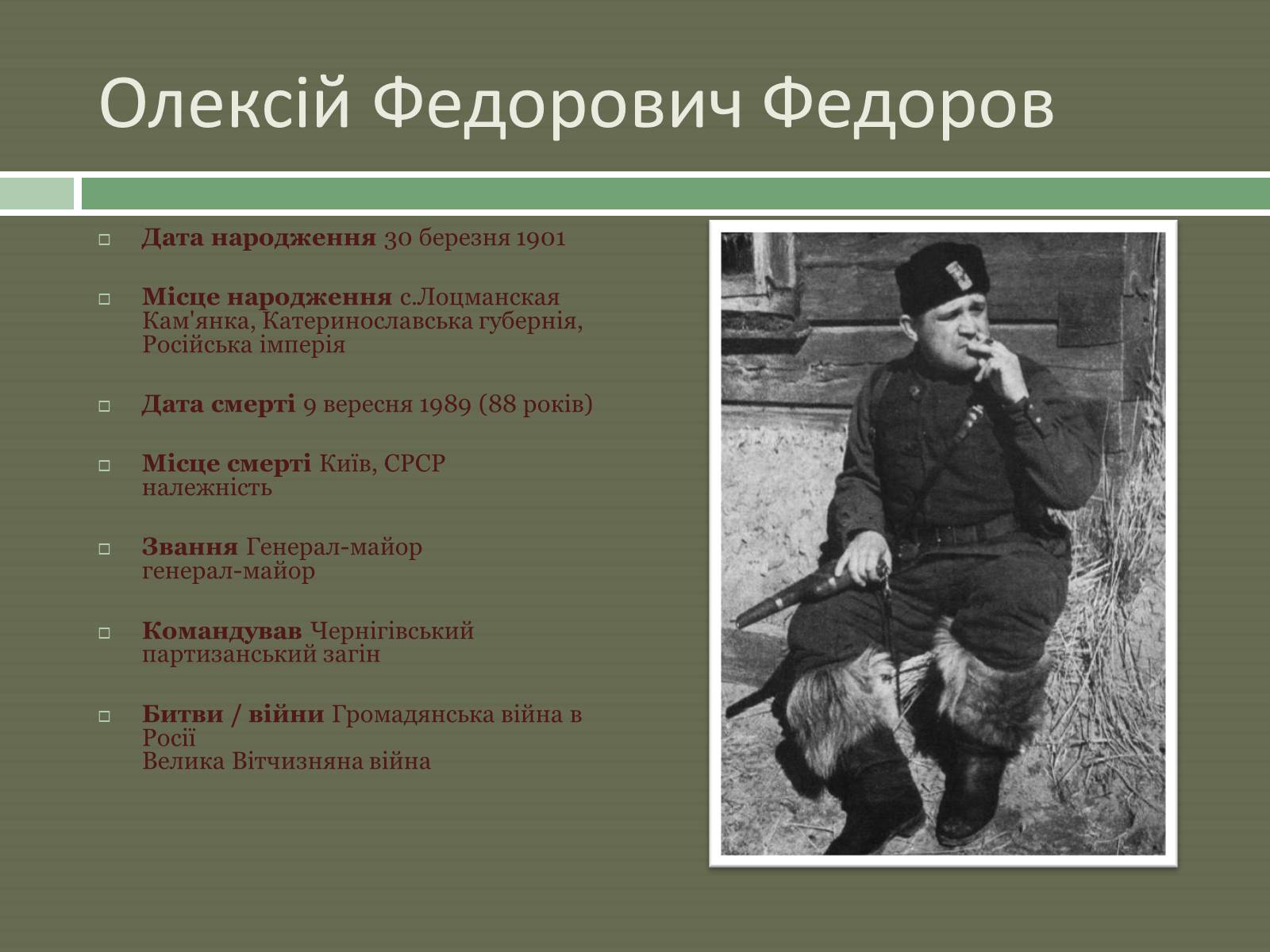 Презентація на тему «Радянський партизанський рух на території України» (варіант 1) - Слайд #16