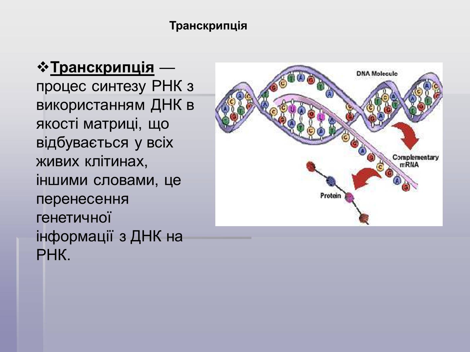 Презентація на тему «ДНК» (варіант 1) - Слайд #7