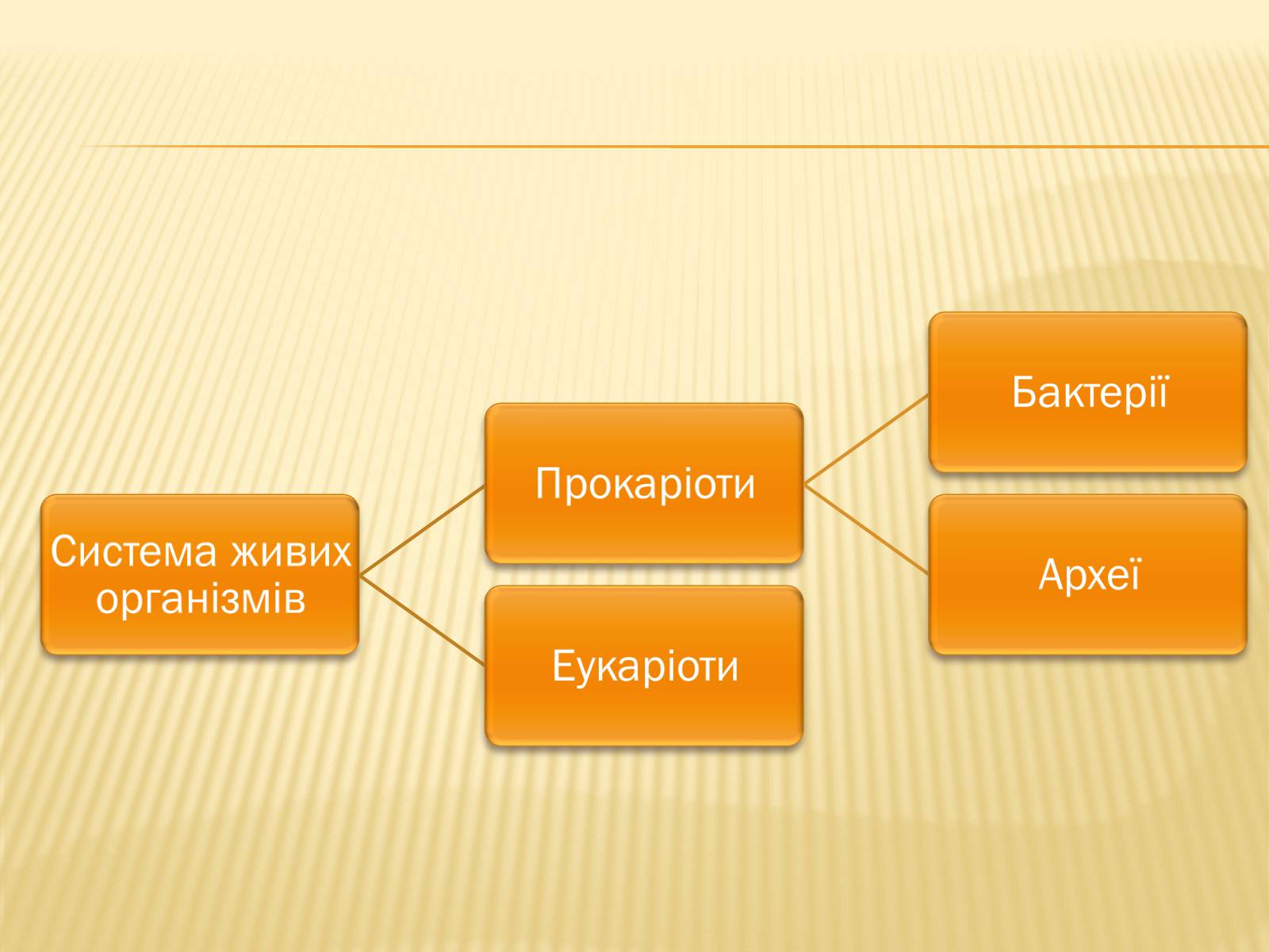 Презентація на тему «Будова прокаріотів» (варіант 2) - Слайд #3
