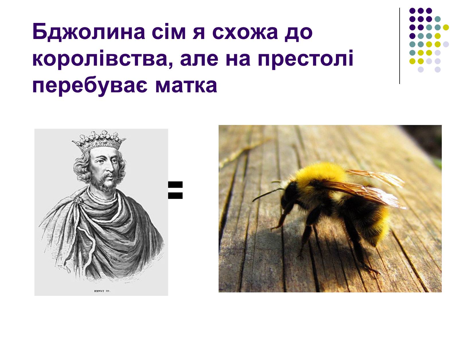 Презентація на тему «Суспільні комахи» - Слайд #10