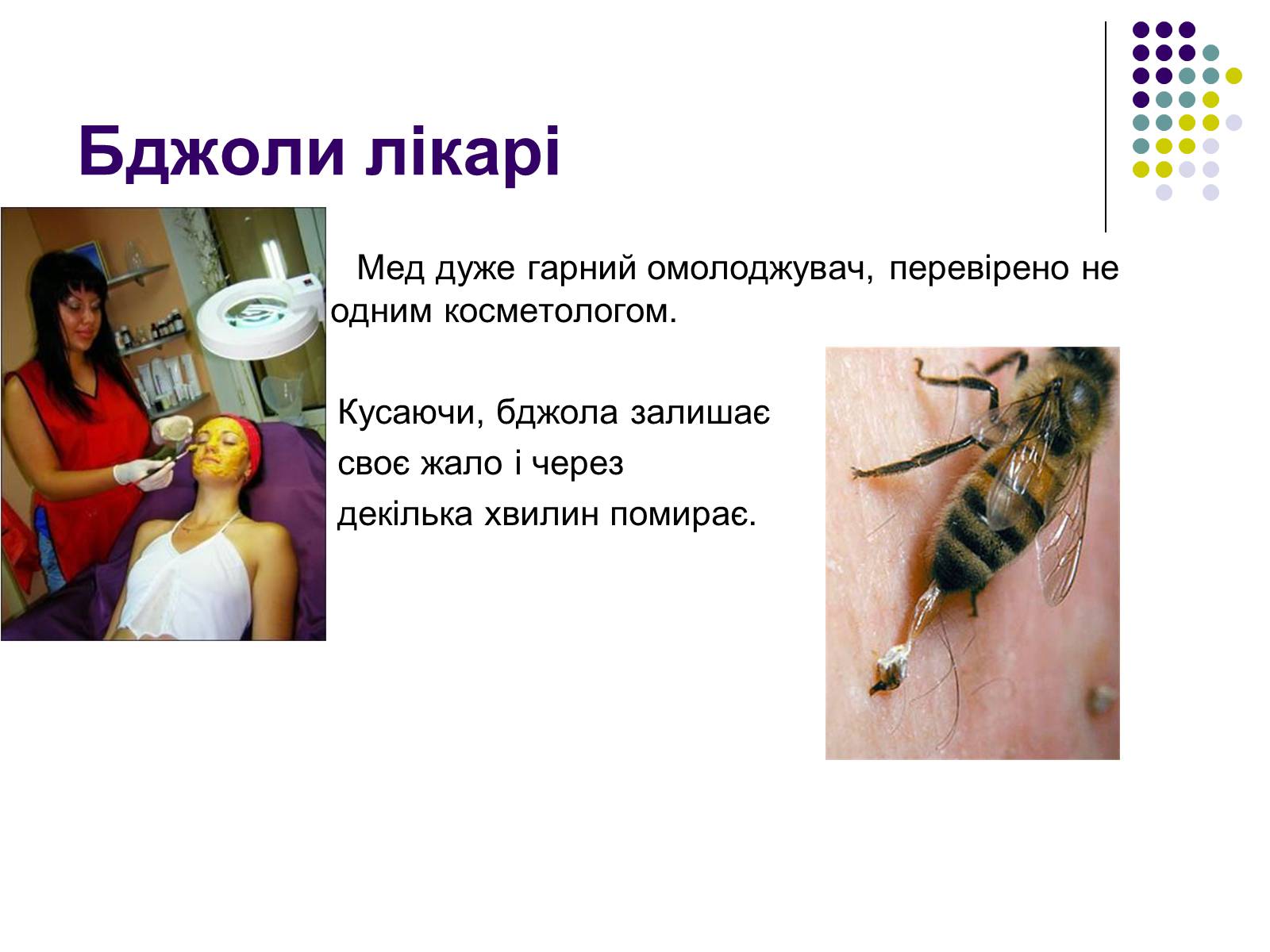 Презентація на тему «Суспільні комахи» - Слайд #22