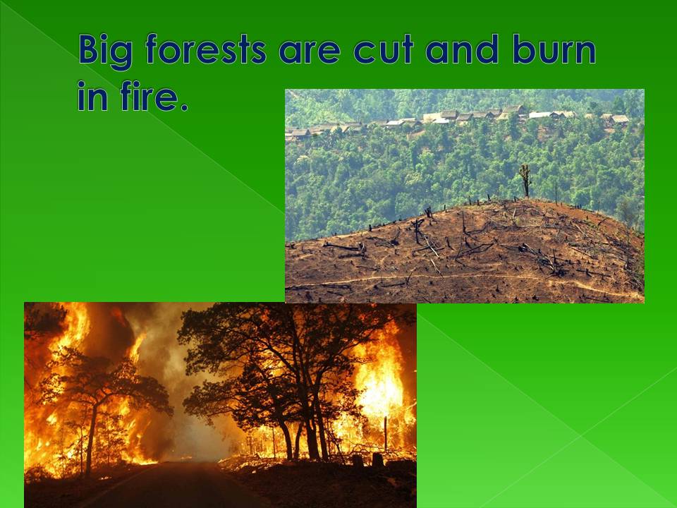 Презентація на тему «Environmental problems» (варіант 4) - Слайд #5