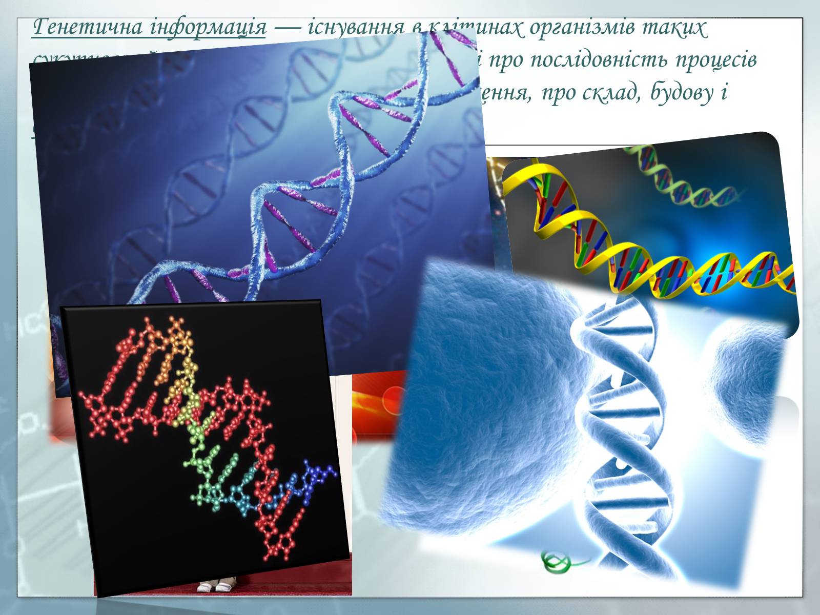 Презентація на тему «Генетика» (варіант 1) - Слайд #4