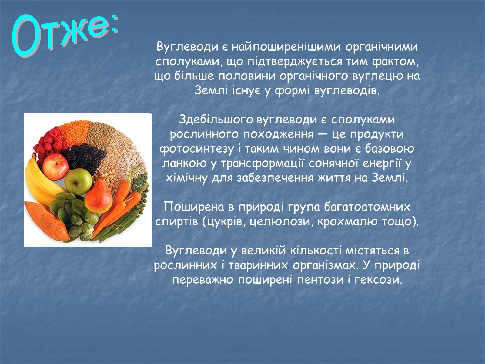 Презентація на тему «Вуглеводи як компоненти їжі, їх роль у житті людини» (варіант 24) - Слайд #13