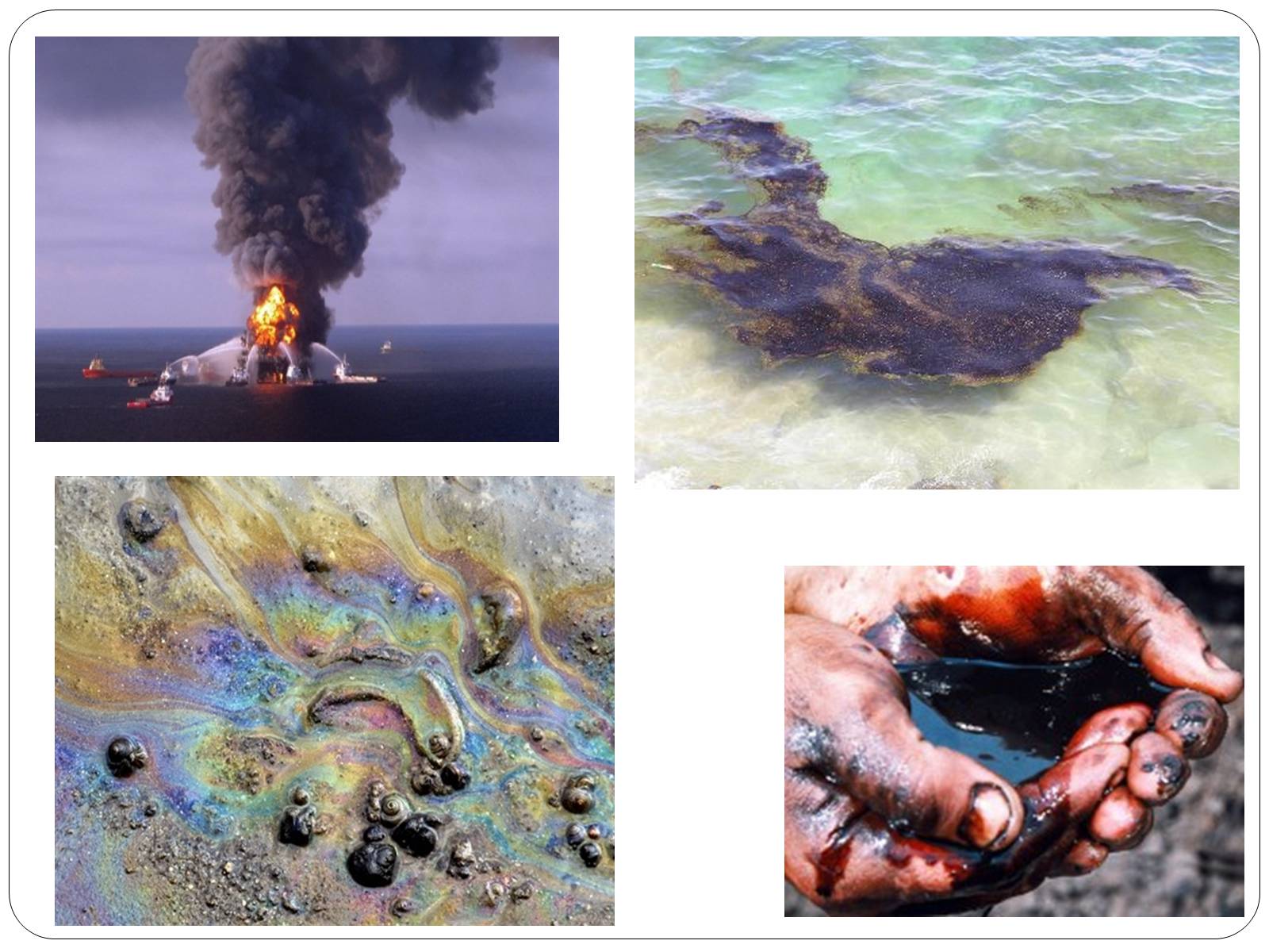 Презентація на тему «Нафта, сланцевий газ, екологія середовища» - Слайд #18