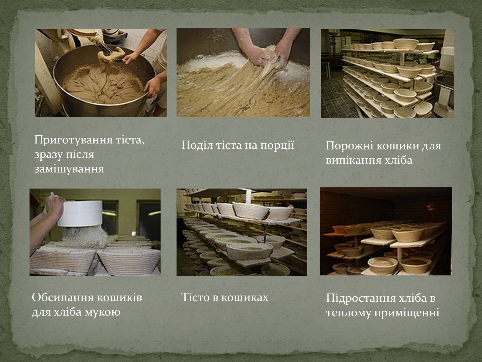 Презентація на тему «Виробництво хліба» (варіант 2) - Слайд #5