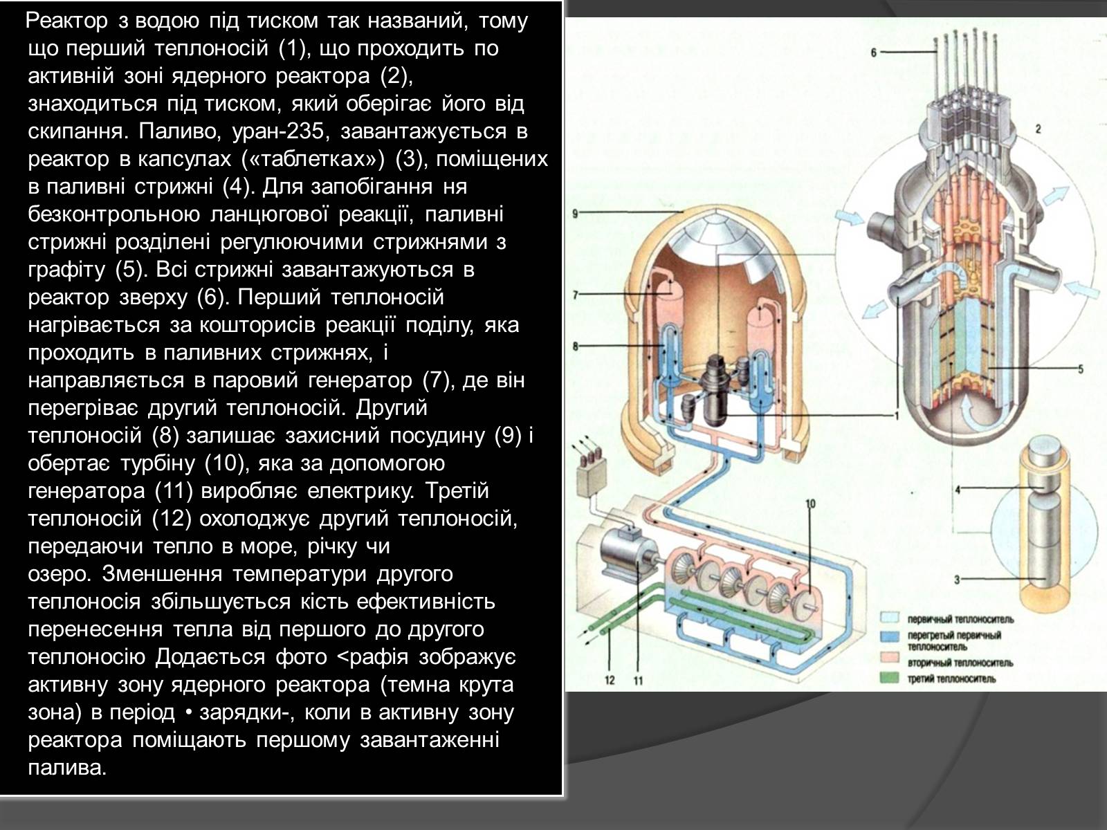 Презентація на тему «Ядерний Реактор» (варіант 1) - Слайд #7