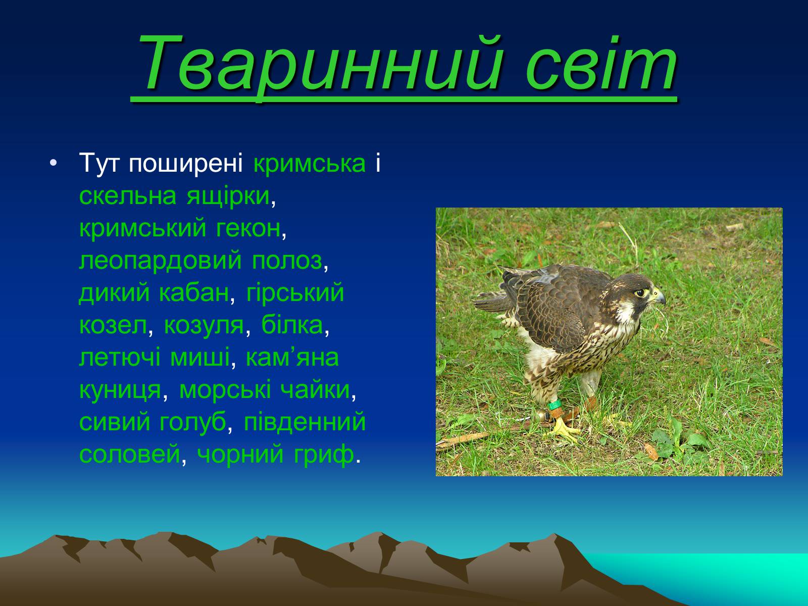 Презентація на тему «Кримські гори» (варіант 1) - Слайд #10