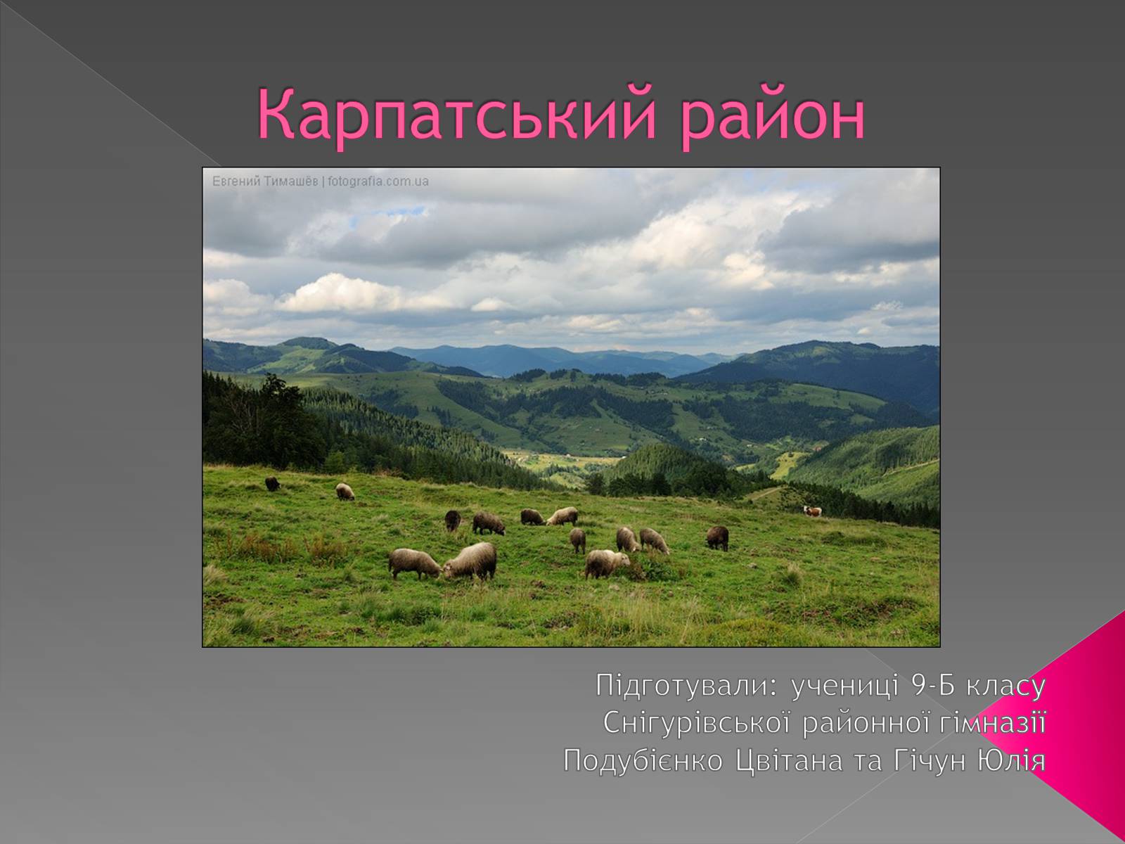 Презентація на тему «Карпатський район» - Слайд #1