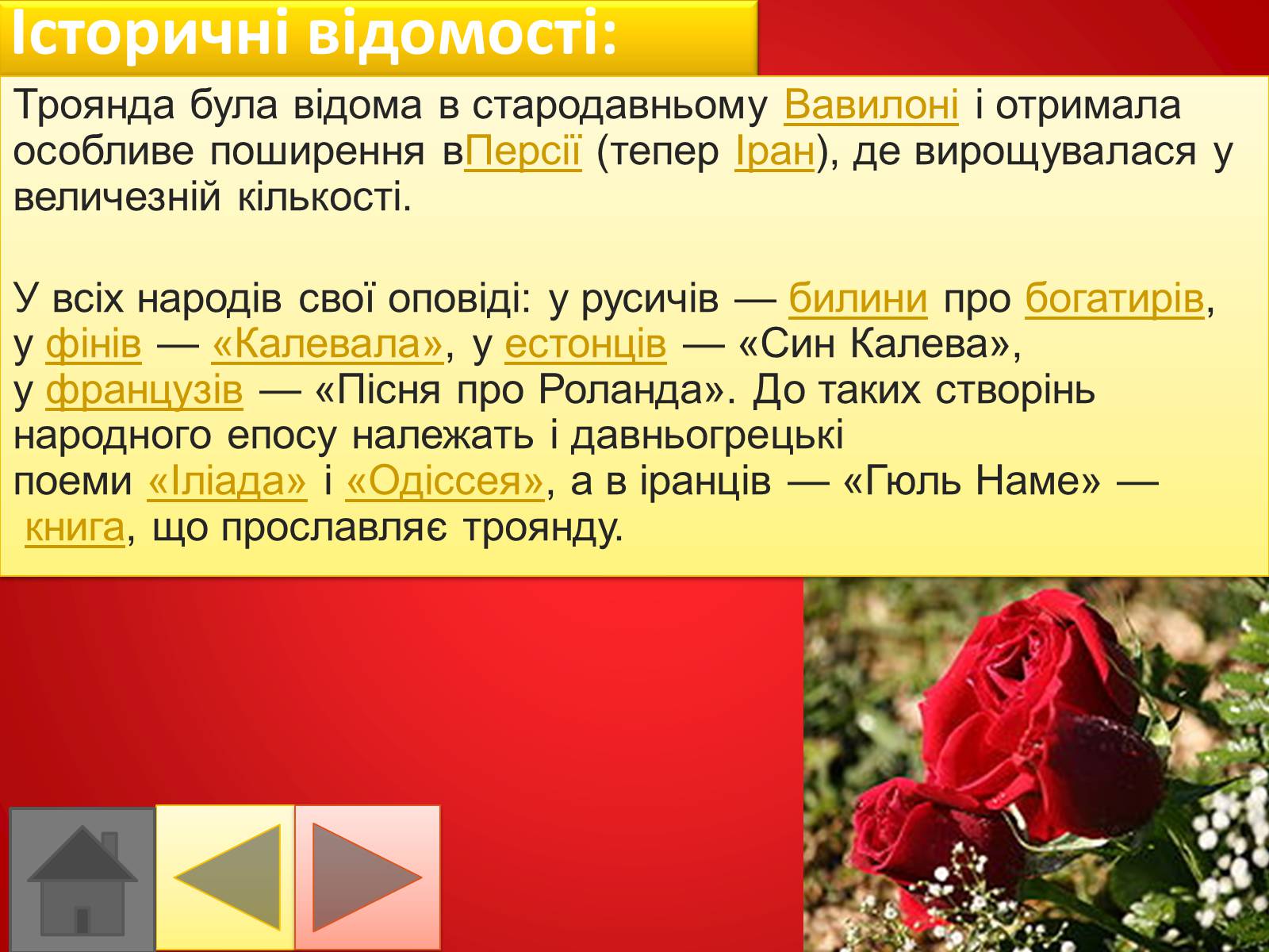 Презентація на тему «Троянди» (варіант 2) - Слайд #7