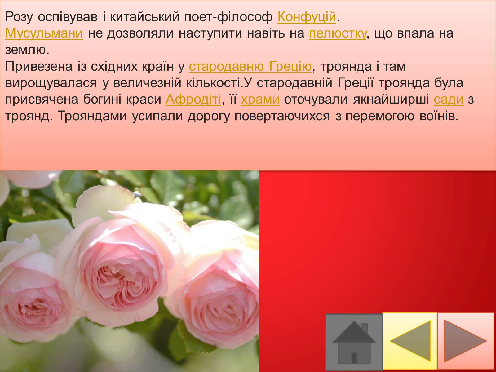 Презентація на тему «Троянди» (варіант 2) - Слайд #10