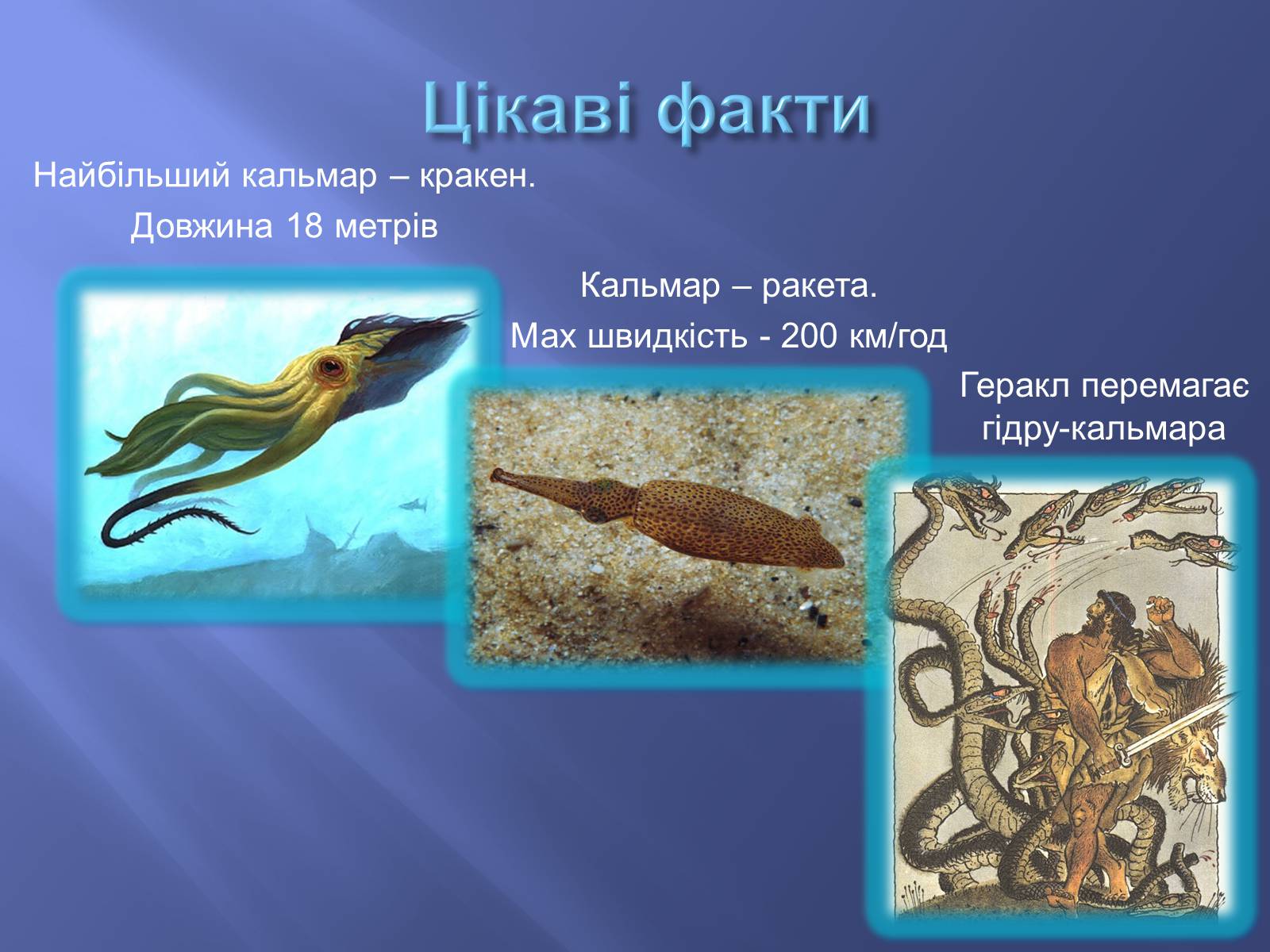 Презентація на тему «Чим цікаві Кальмари» - Слайд #5