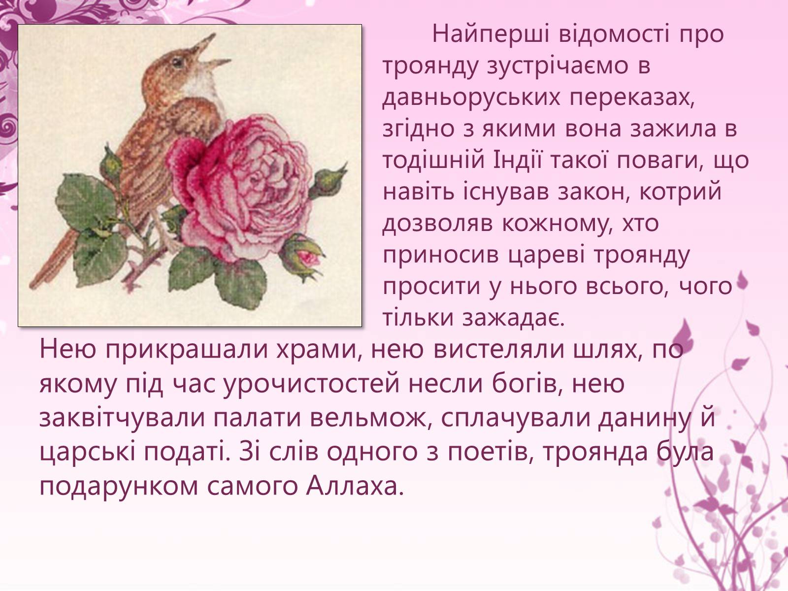 Презентація на тему «Образ троянди в усній народній творчості» - Слайд #6