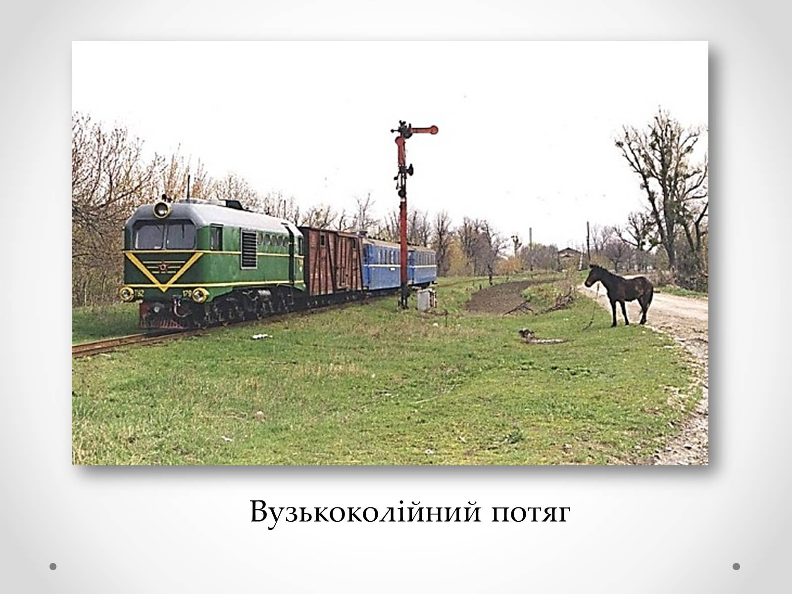 Презентація на тему «Залізничний транспорт України» (варіант 1) - Слайд #13