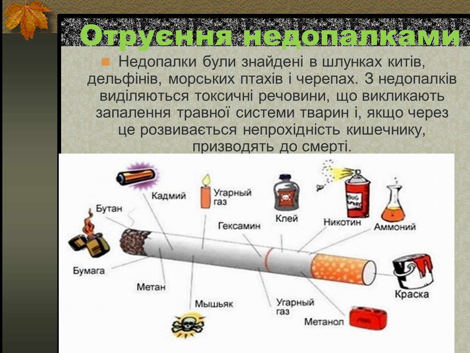 Презентація на тему «Негативний вплив тютюну на довкілля» - Слайд #9