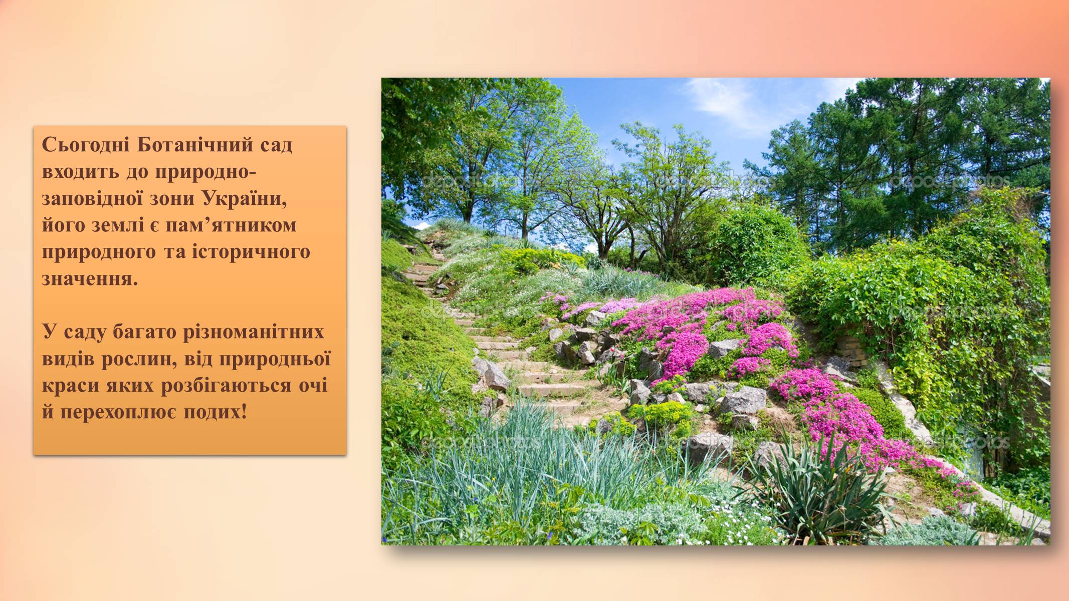 Презентація на тему «Національний ботанічний сад ім. М. Гришка» - Слайд #3
