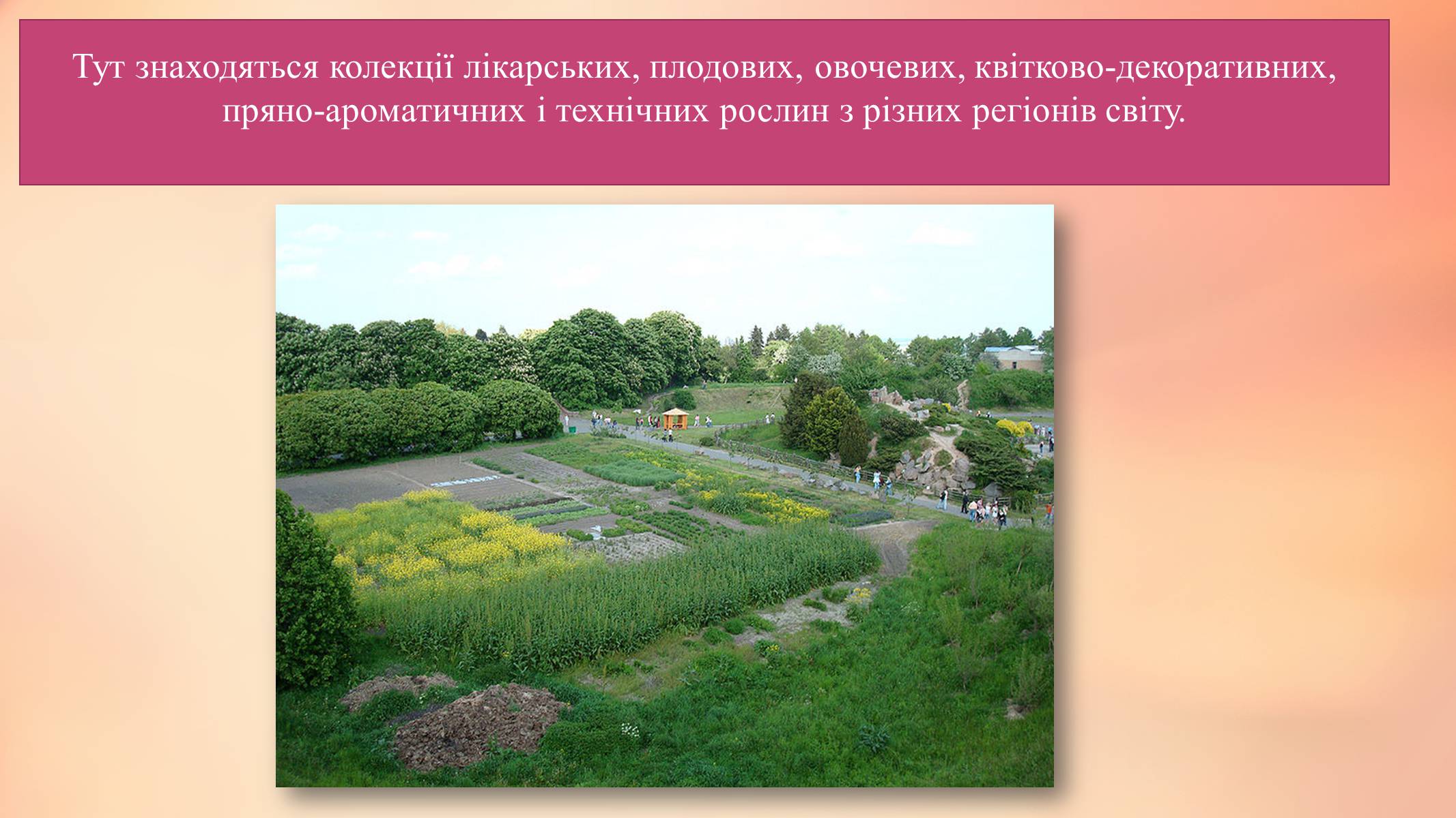 Презентація на тему «Національний ботанічний сад ім. М. Гришка» - Слайд #6