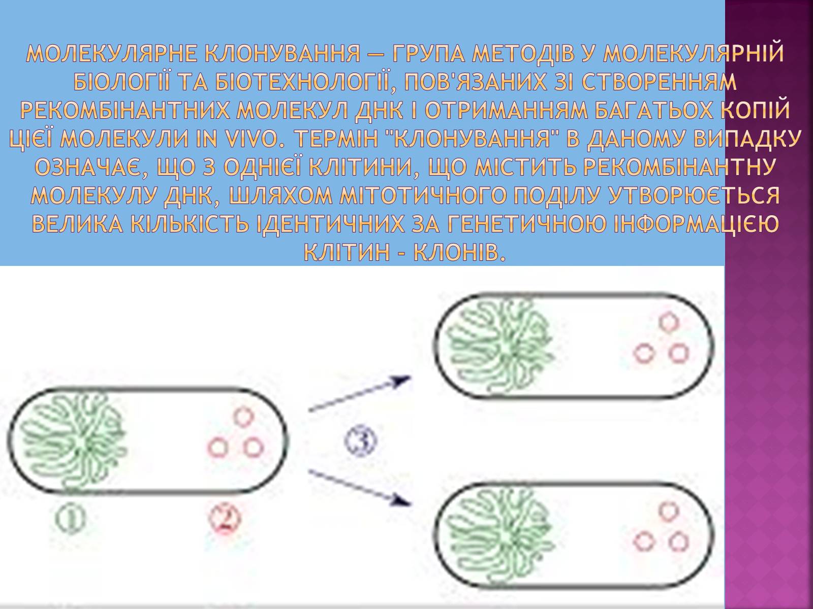 Презентація на тему «Клонування організмів» - Слайд #4