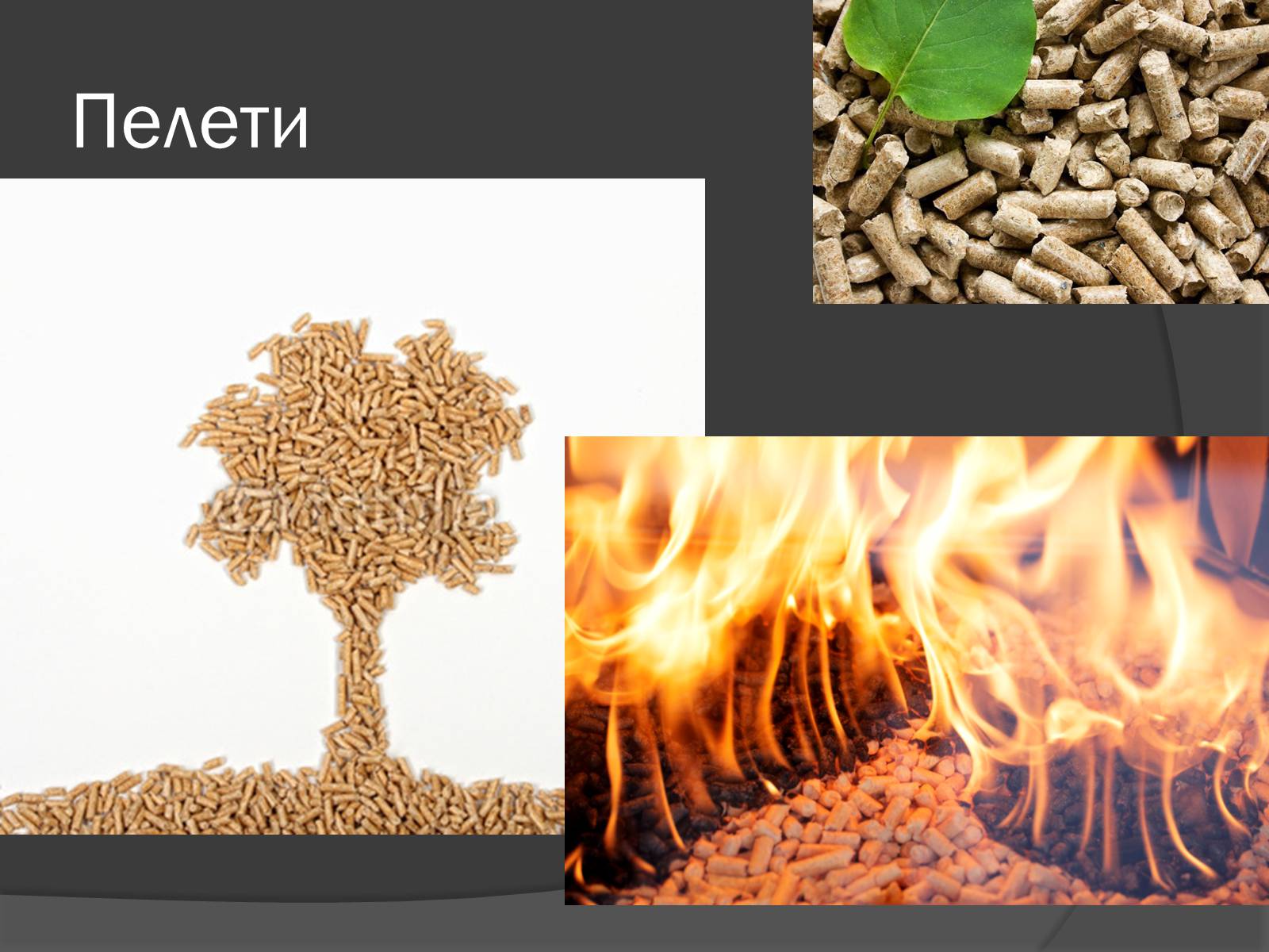 Презентація на тему «Органічні речовини в живій природі» (варіант 3) - Слайд #11