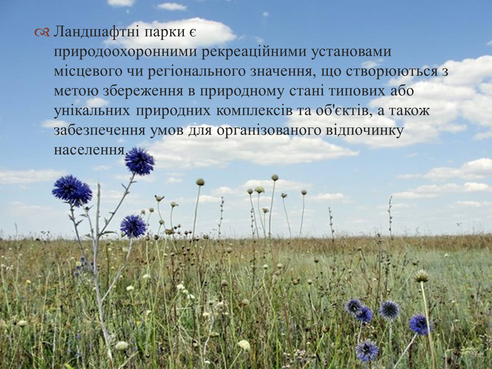 Презентація на тему «Ландшафтні парки України» (варіант 2) - Слайд #2
