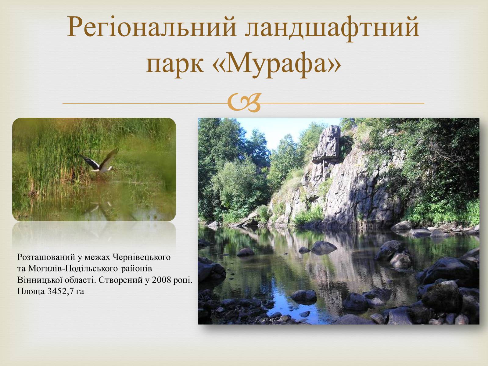 Презентація на тему «Ландшафтні парки України» (варіант 2) - Слайд #4