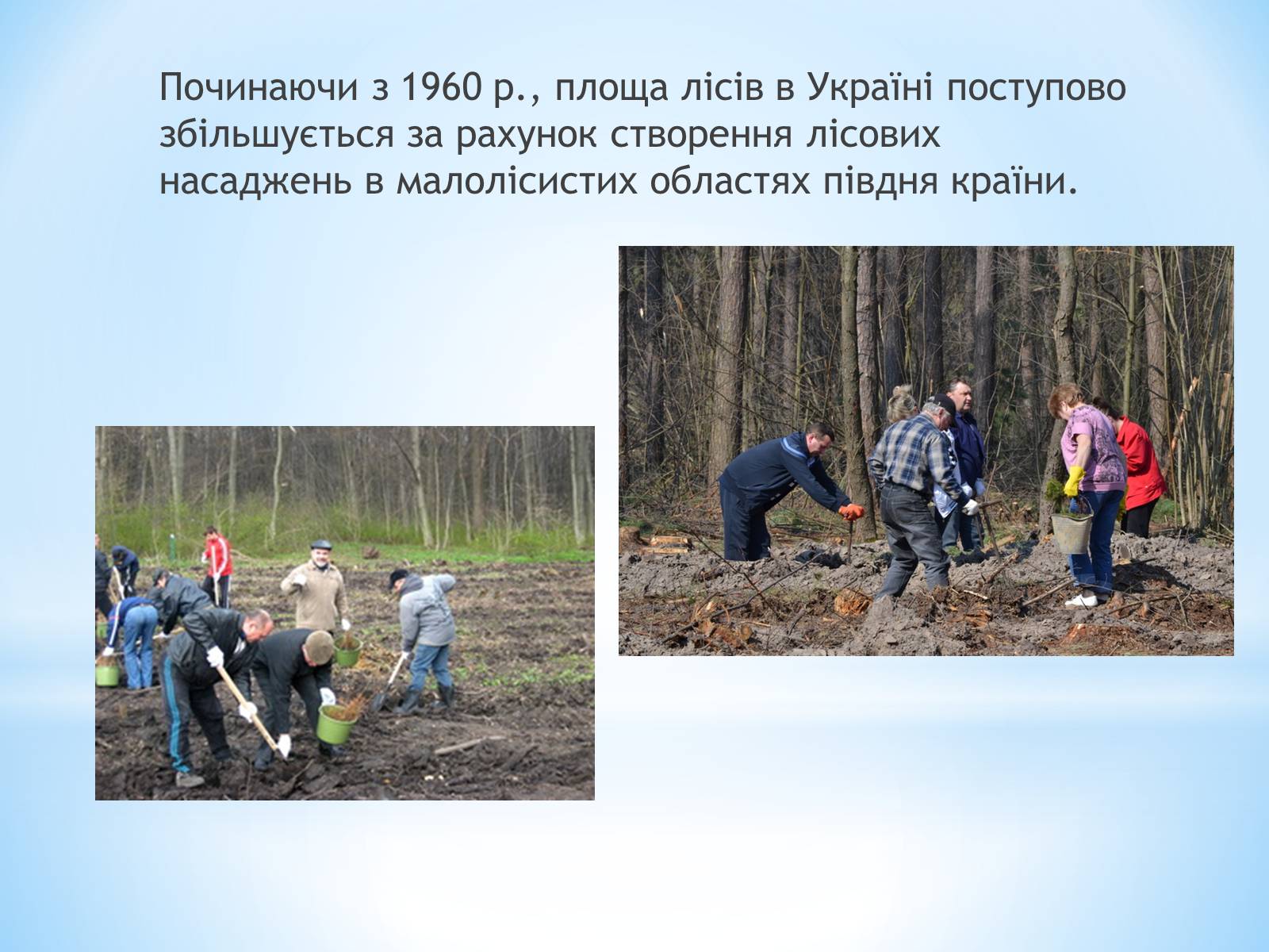 Презентація на тему «Знищення лісів на Україні» - Слайд #8
