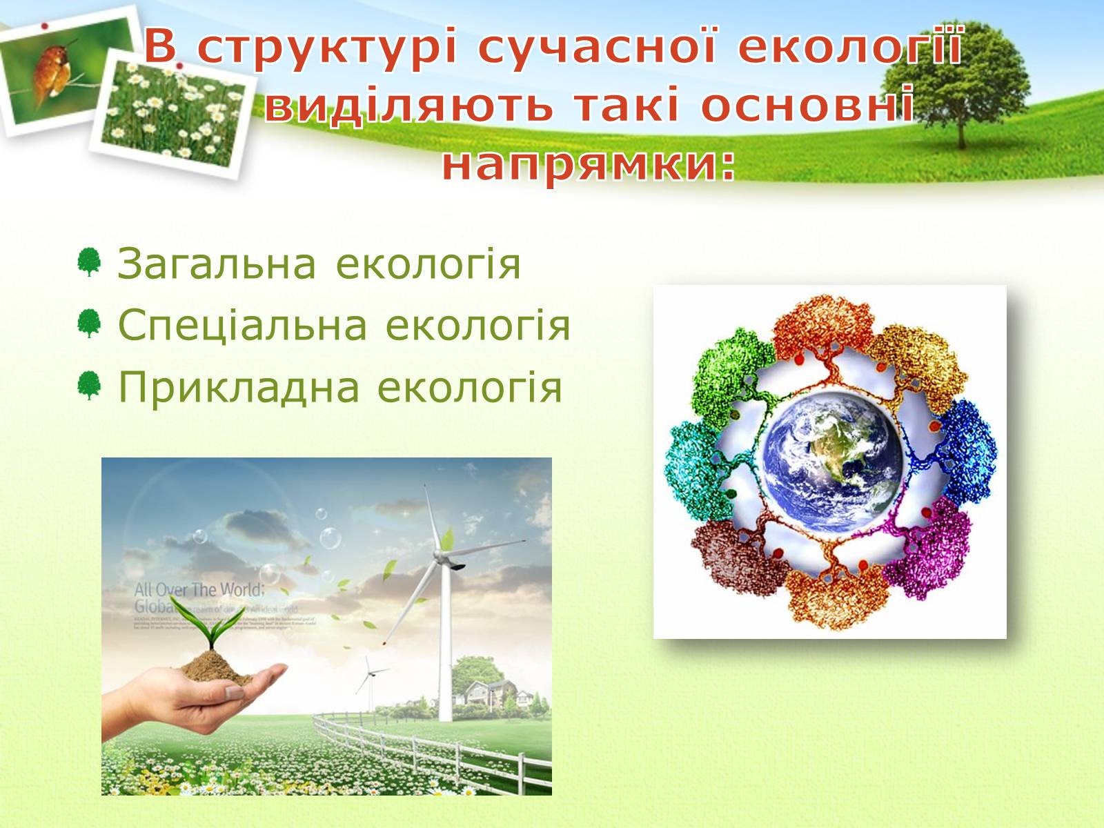 Презентація на тему «Екологія як наука про довкілля» (варіант 2) - Слайд #16