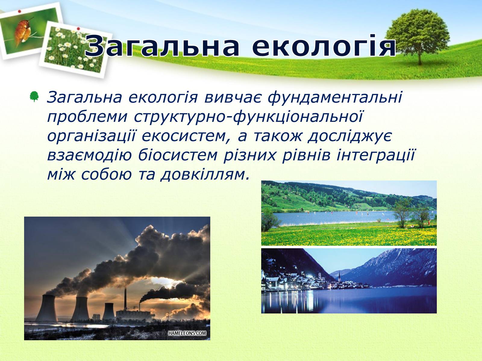 Презентація на тему «Екологія як наука про довкілля» (варіант 2) - Слайд #17