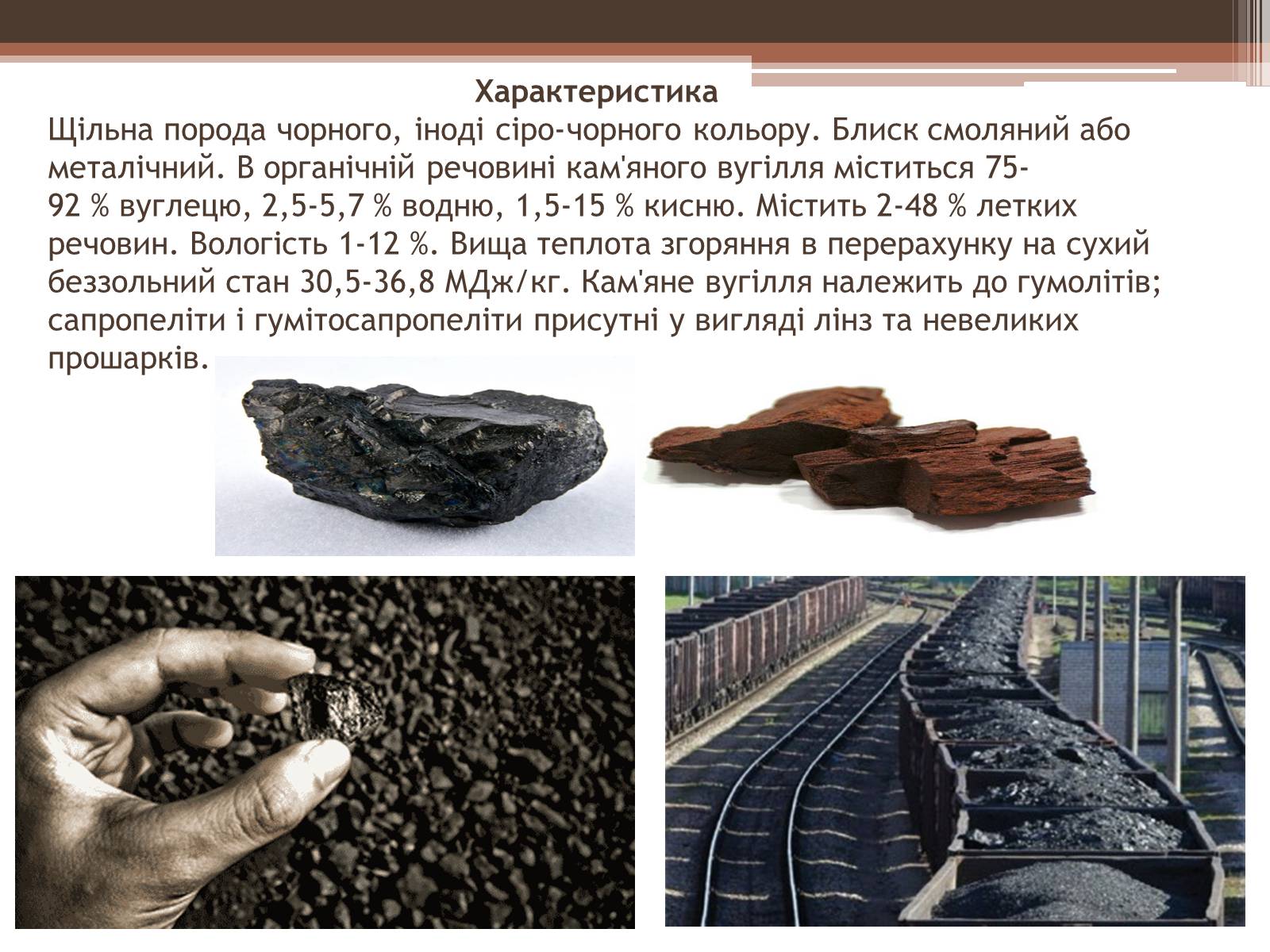 Презентація на тему «Кам*яне вугілля» (варіант 2) - Слайд #3