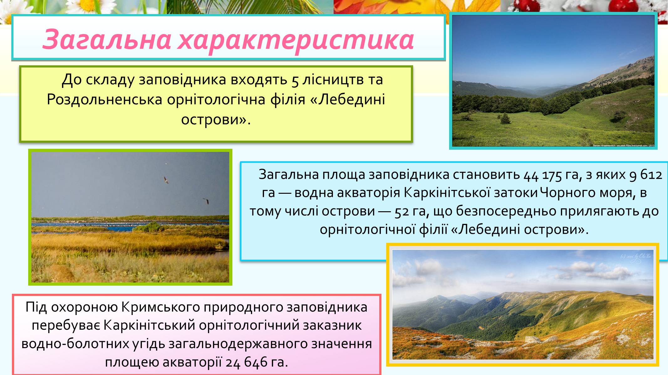 Презентація на тему «Кримський природний заповідник» - Слайд #5