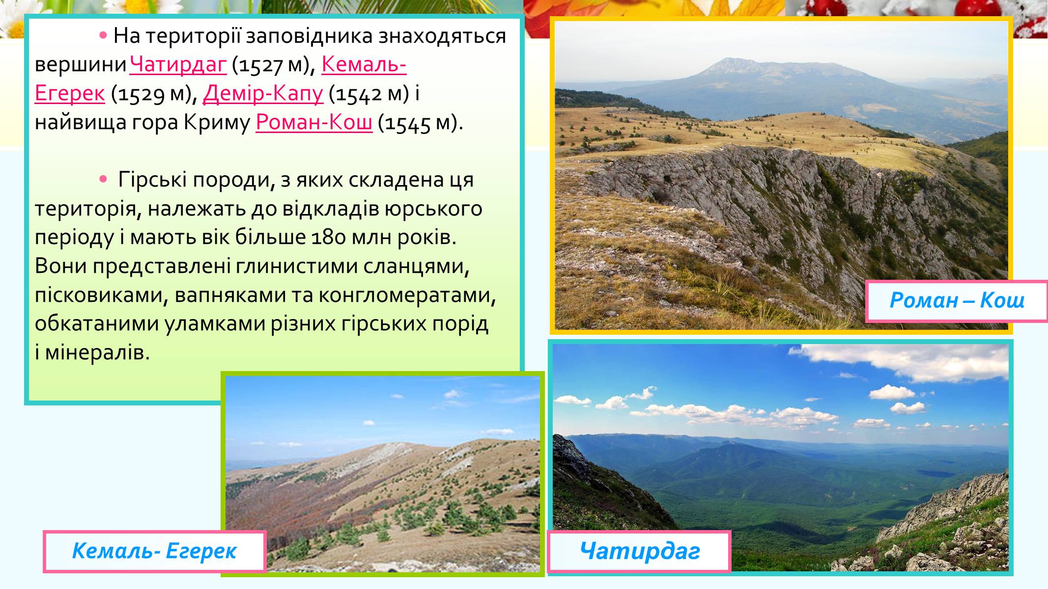 Презентація на тему «Кримський природний заповідник» - Слайд #6