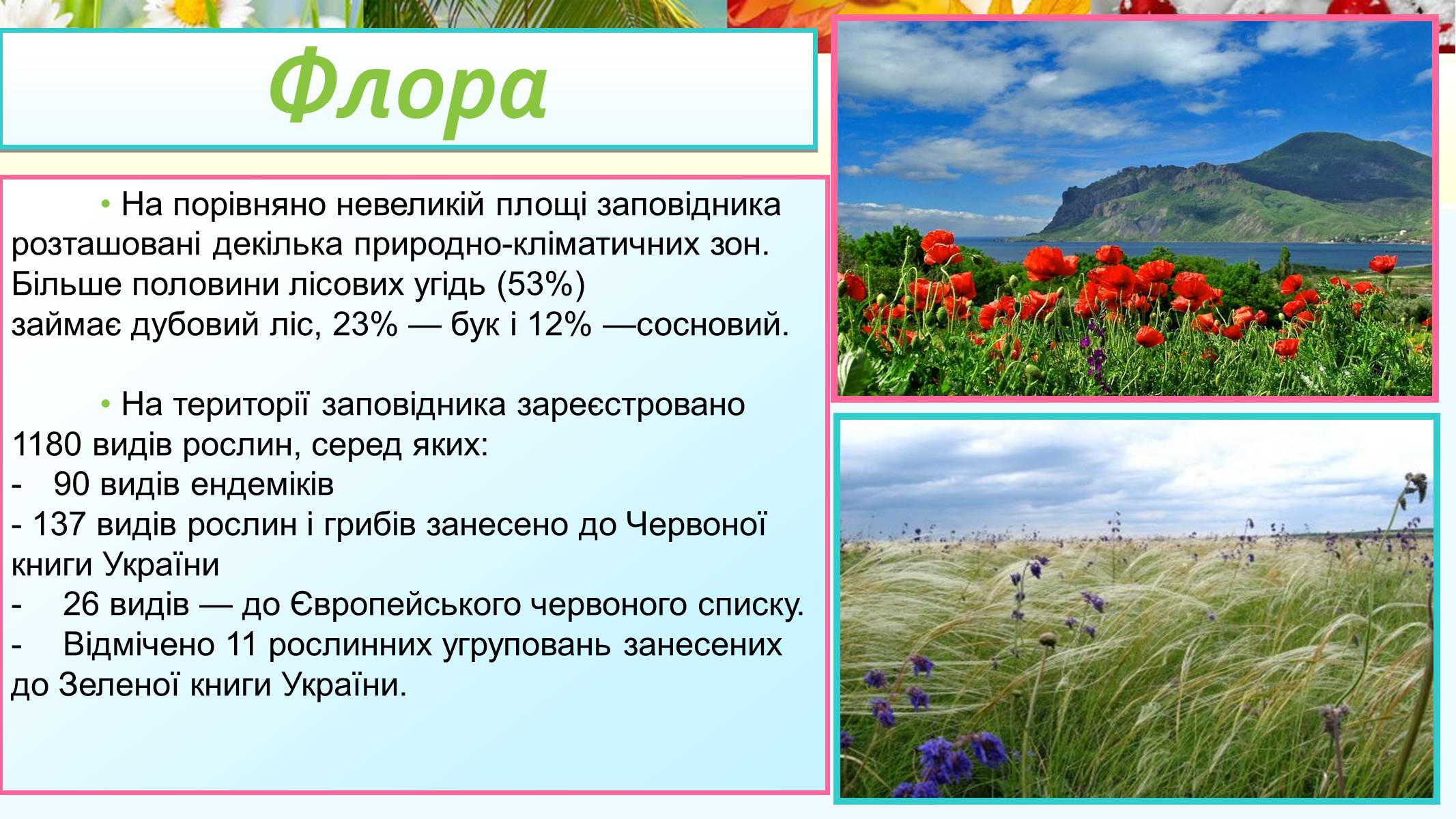 Презентація на тему «Кримський природний заповідник» - Слайд #7