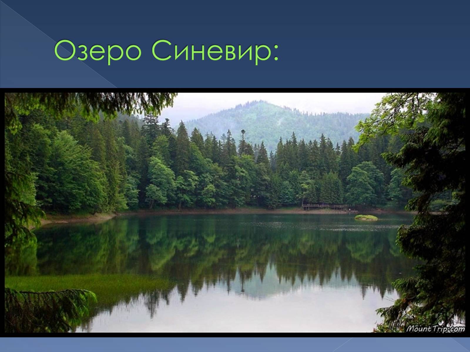 Презентація на тему «Українські Карпати» (варіант 9) - Слайд #16
