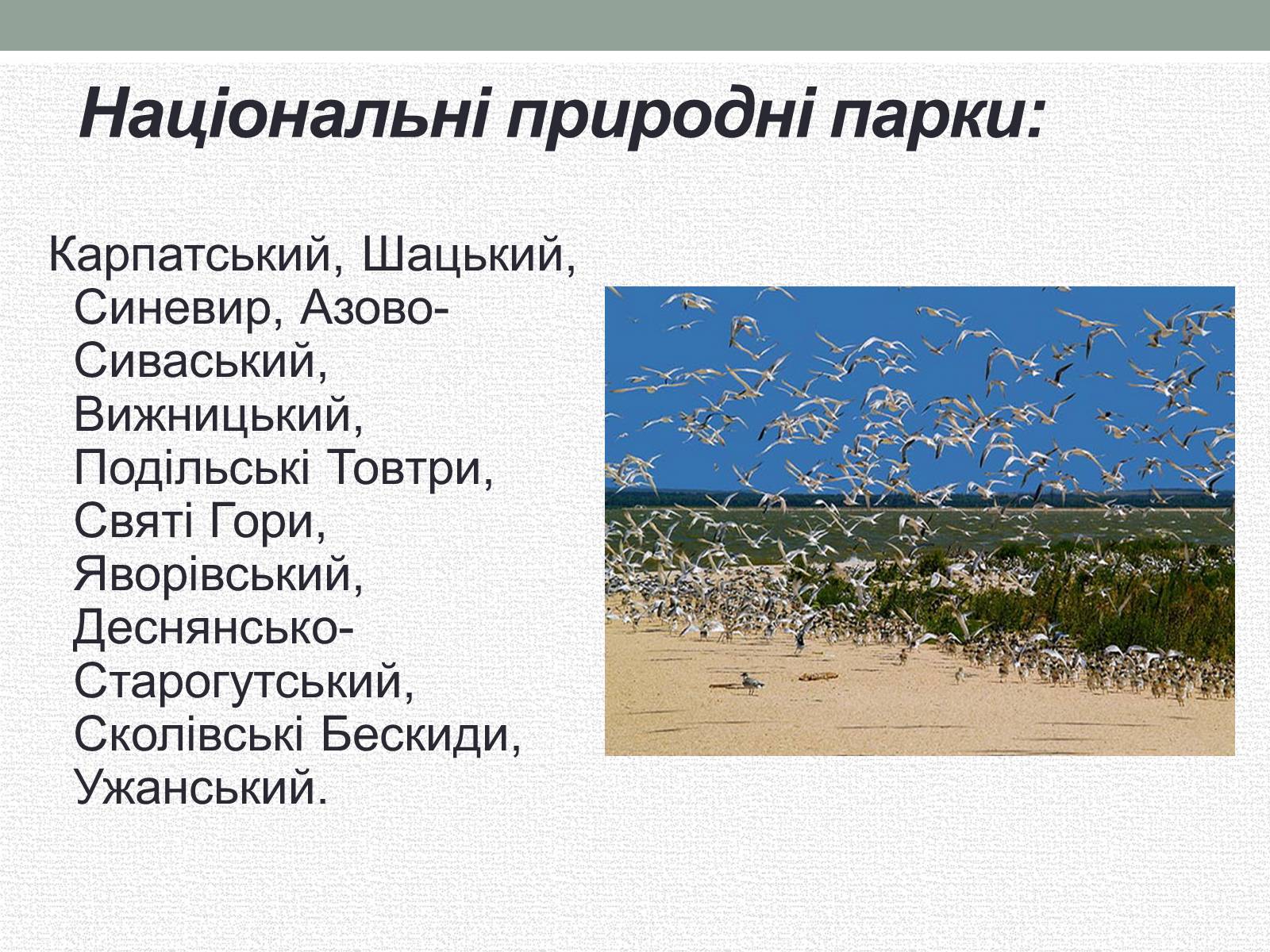 Презентація на тему «Заповідна мережа України» (варіант 5) - Слайд #8