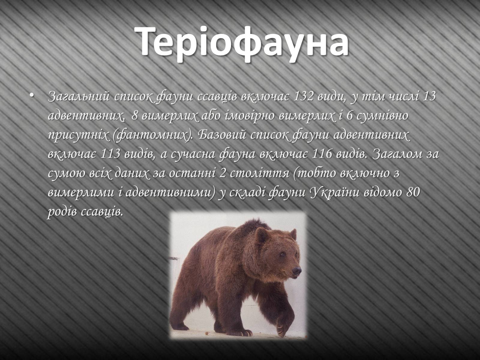 Презентація на тему «Тварини України» - Слайд #7