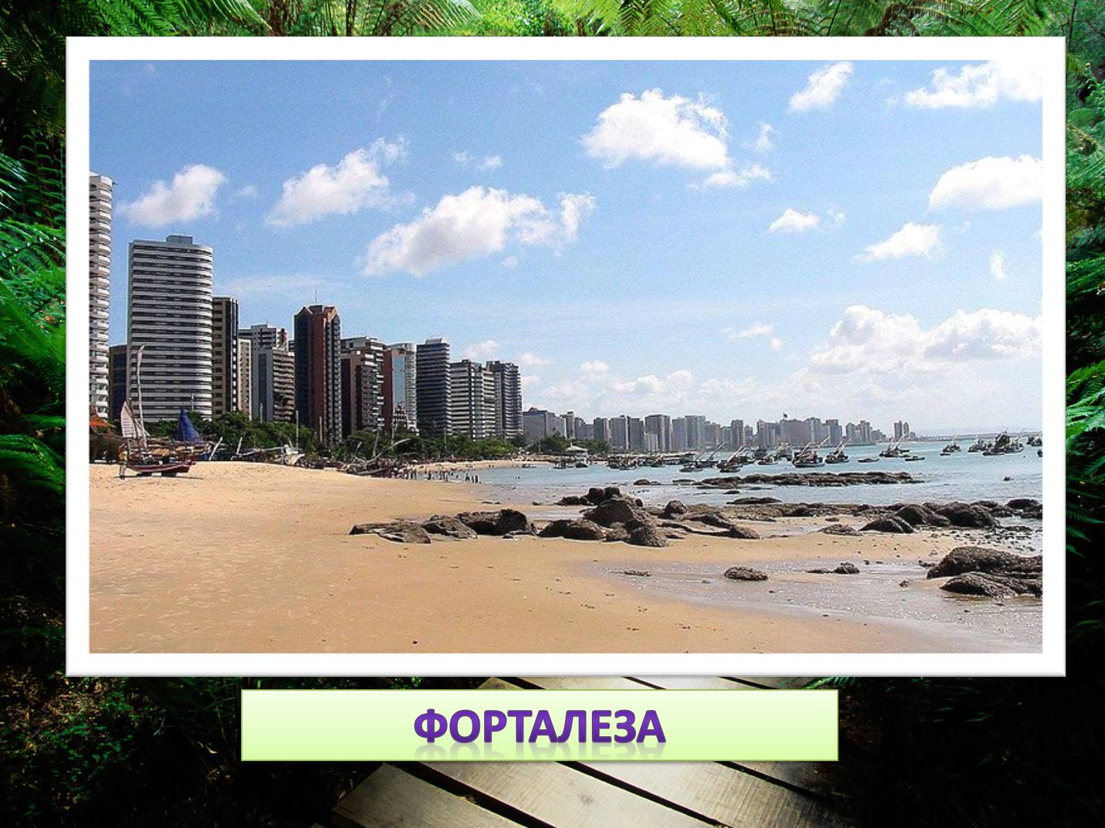 Презентація на тему «Сонячна Бразилія» - Слайд #10