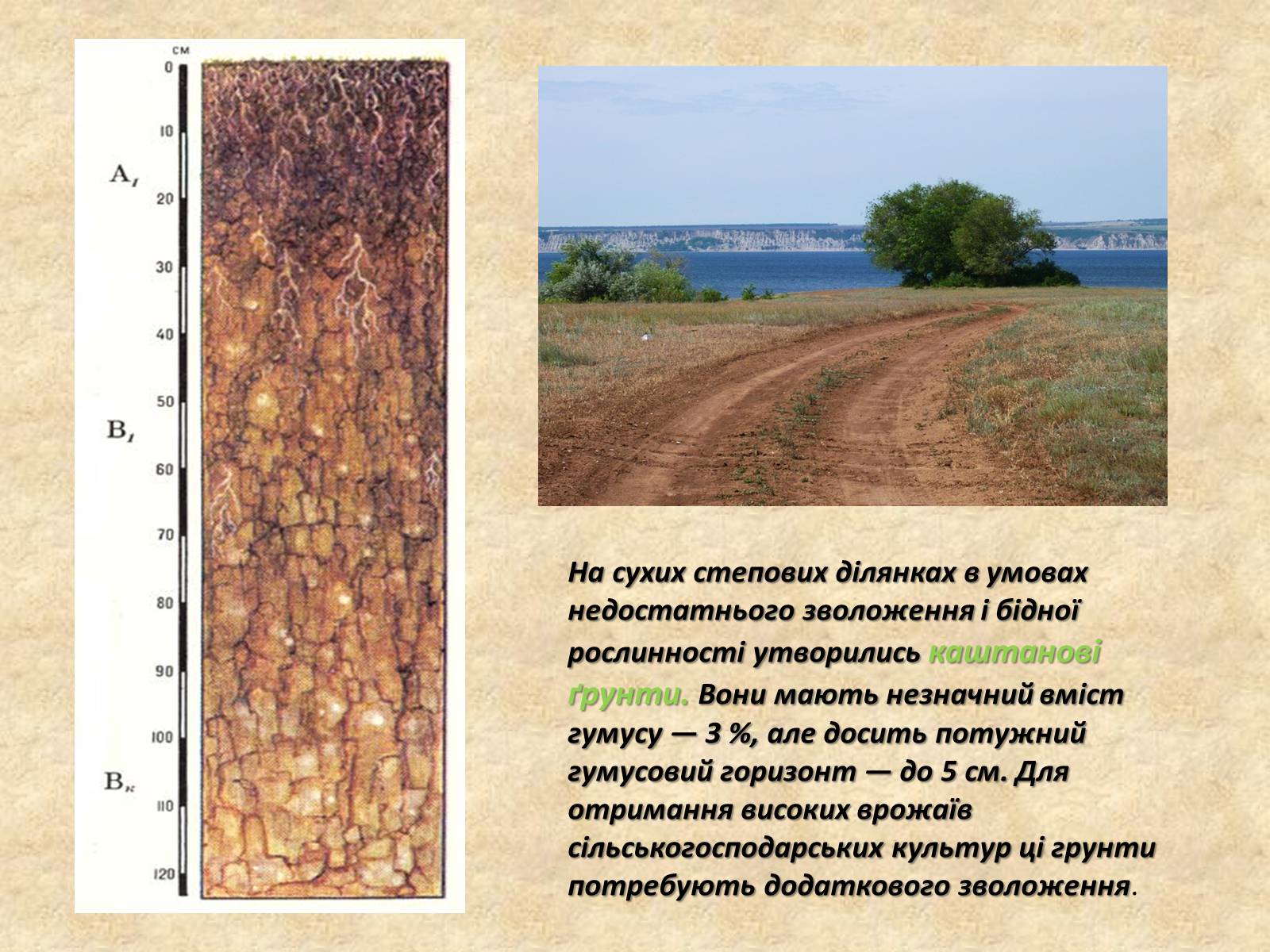 Презентація на тему «Основні типи ґрунтів України» - Слайд #8