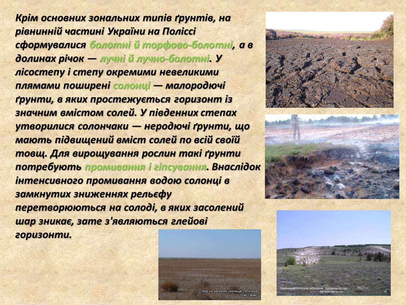 Презентація на тему «Основні типи ґрунтів України» - Слайд #9