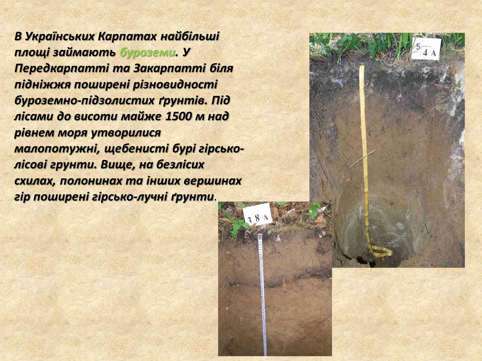 Презентація на тему «Основні типи ґрунтів України» - Слайд #10