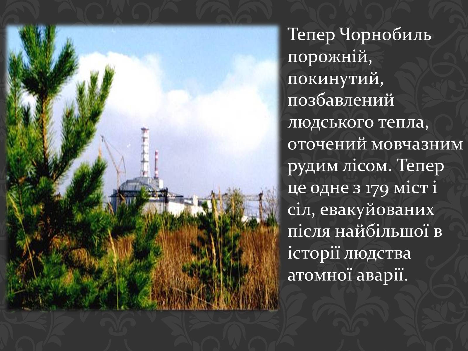 Презентація на тему «Чорнобиль» (варіант 8) - Слайд #3
