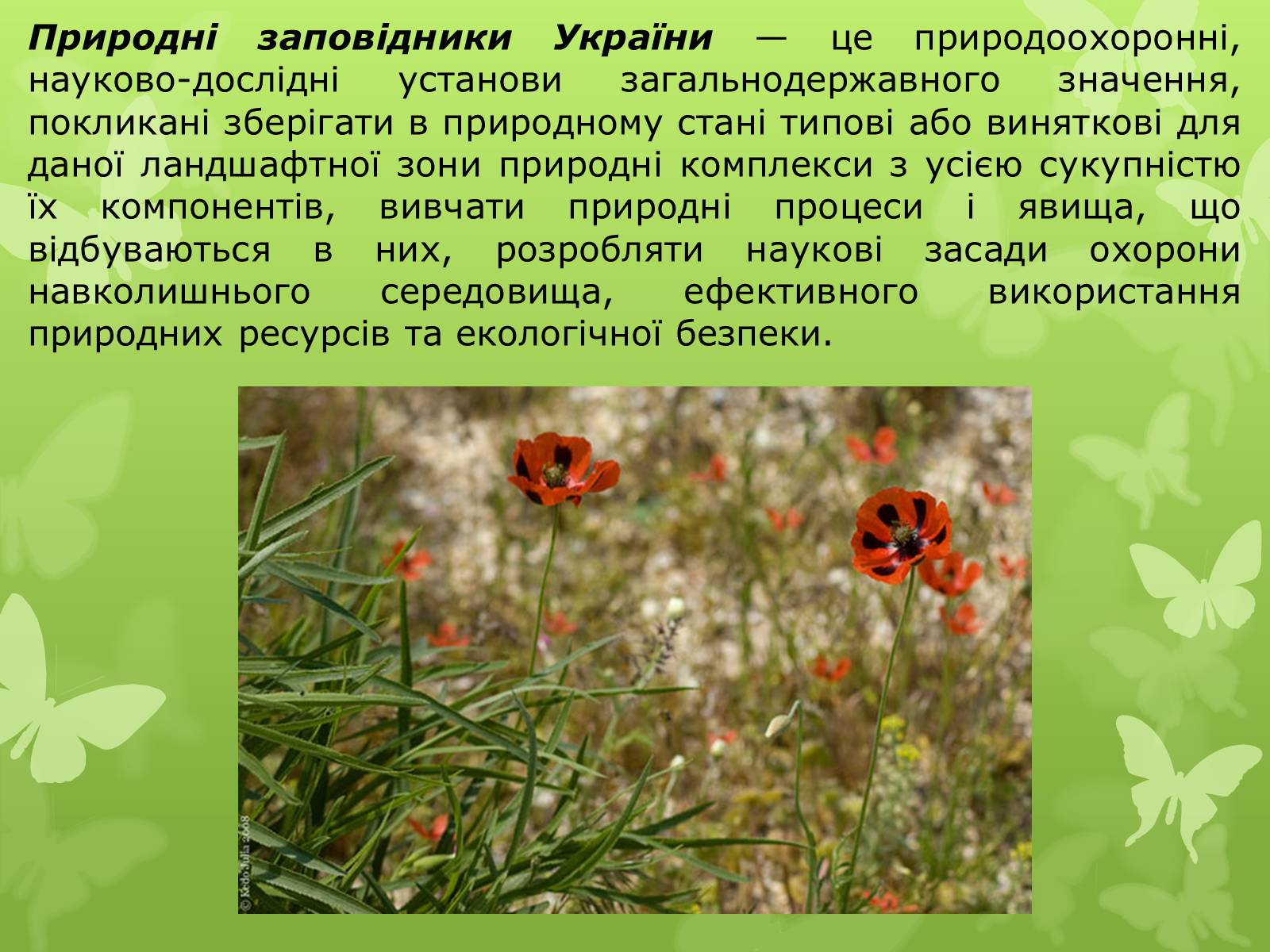 Презентація на тему «Природні заповідники України» (варіант 4) - Слайд #2