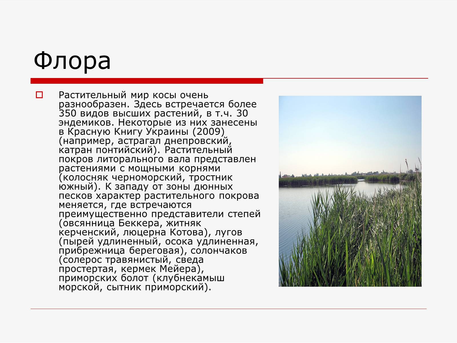 Презентація на тему «Путешествие по Запорожскому краю» - Слайд #5