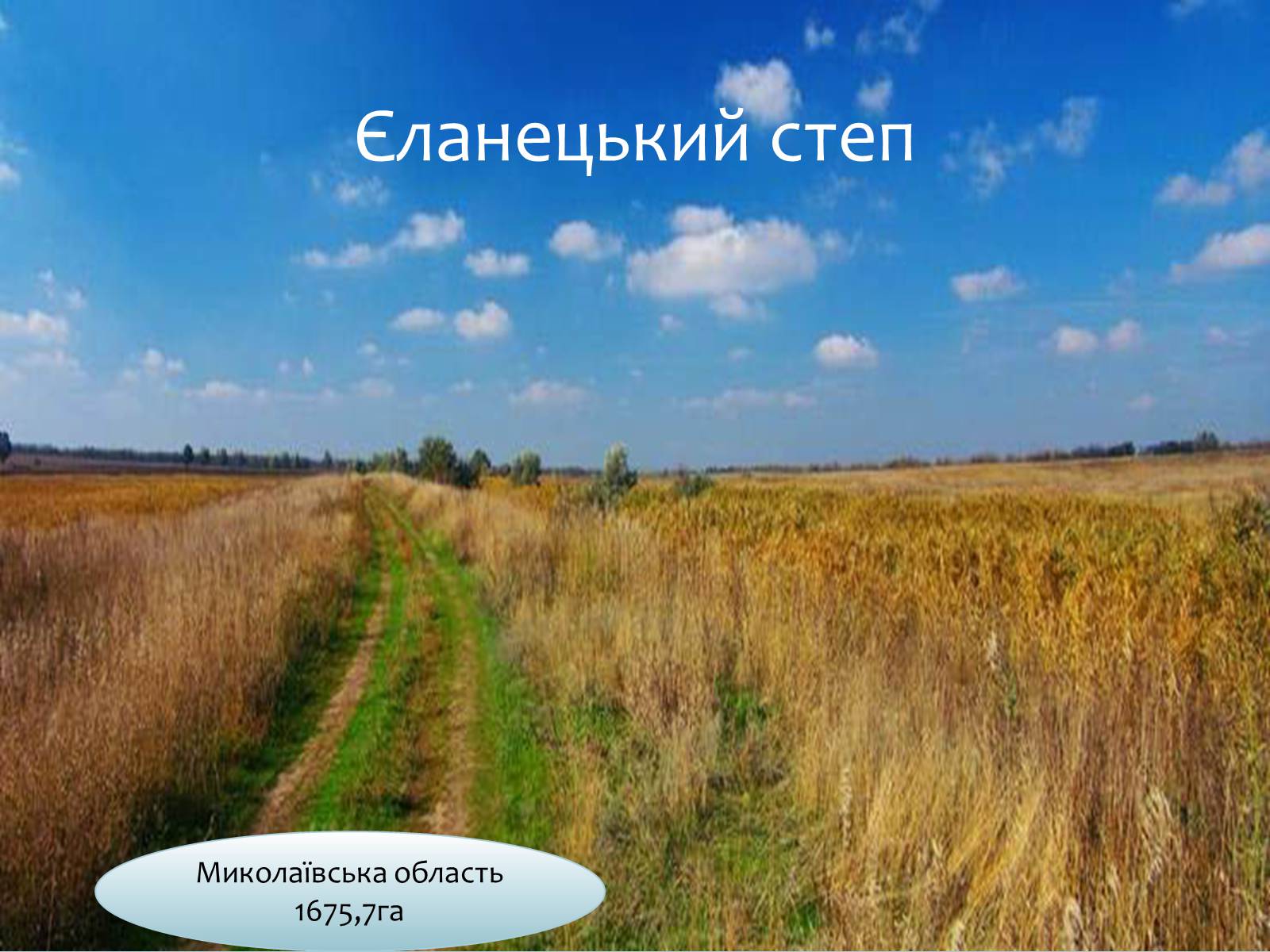 Презентація на тему «Заповідна мережа України» (варіант 6) - Слайд #8