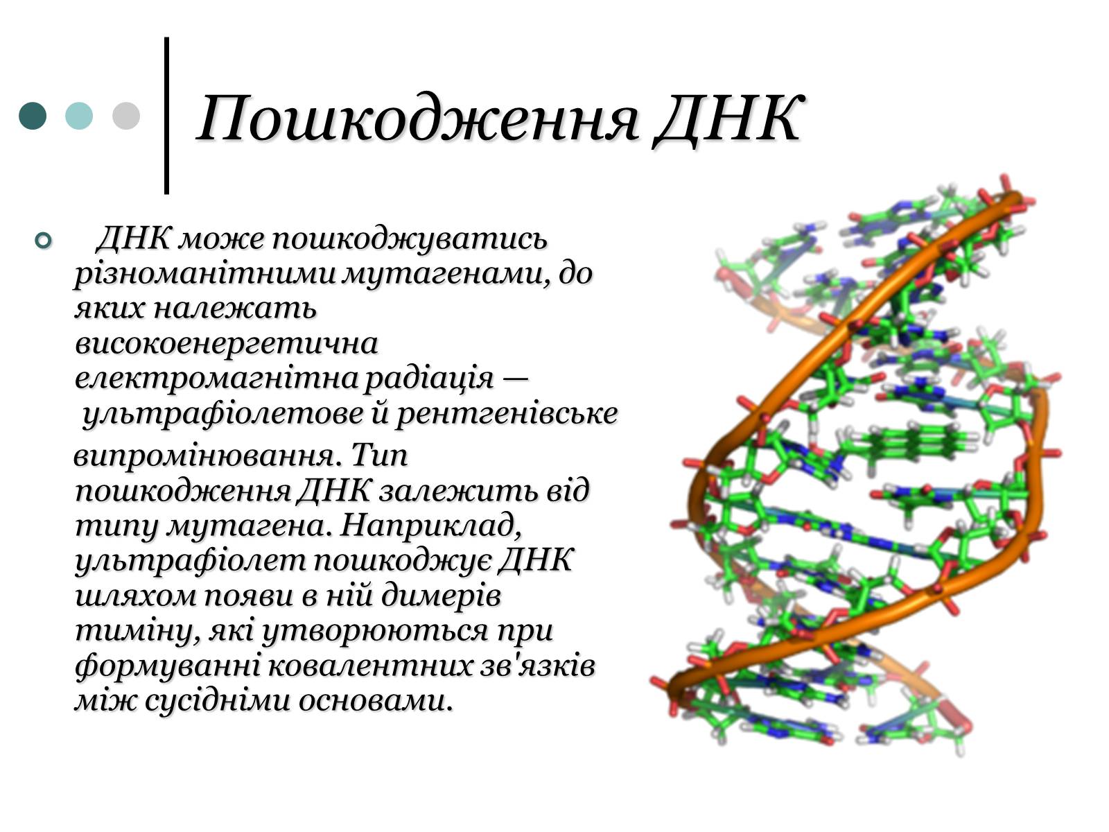 Презентація на тему «Будова, властивості та функції ДНК» - Слайд #7