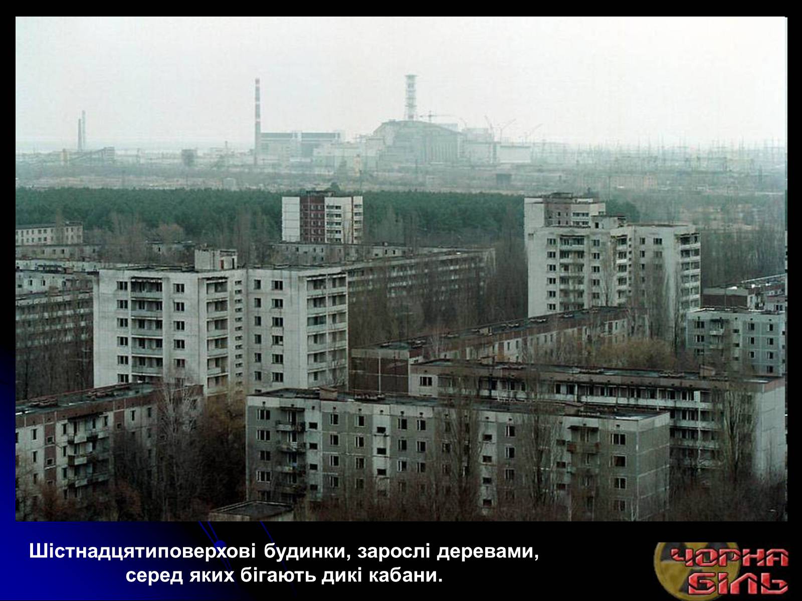 Презентація на тему «Чорнобиль» (варіант 10) - Слайд #33