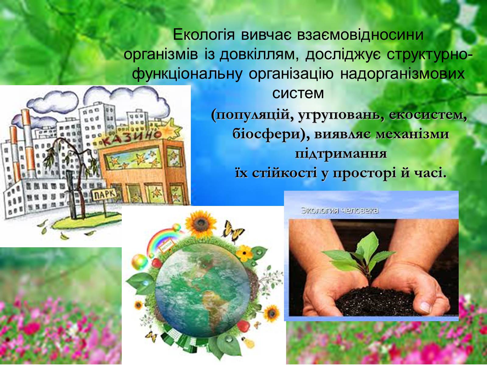 Презентація на тему «Основні поняття еколігії та її забруднення» - Слайд #3