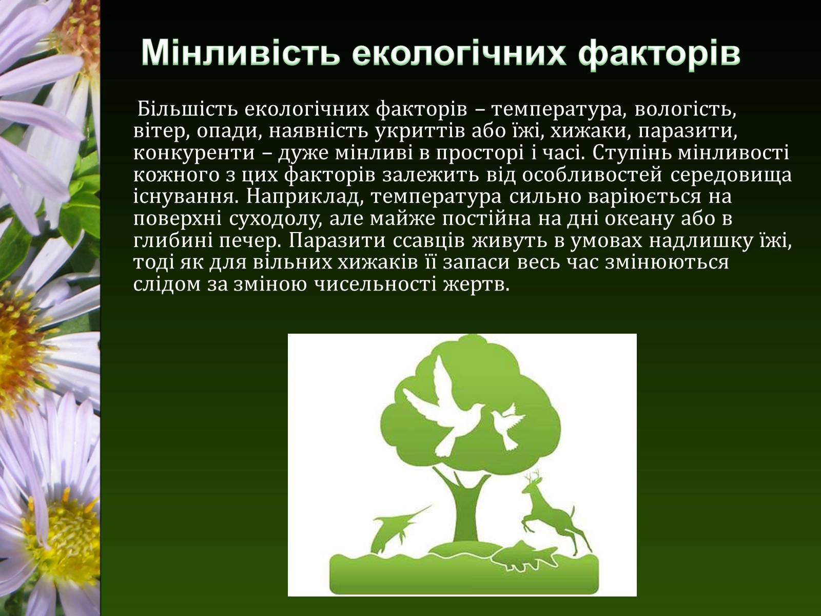 Презентація на тему «Екологічні чинники» (варіант 1) - Слайд #11