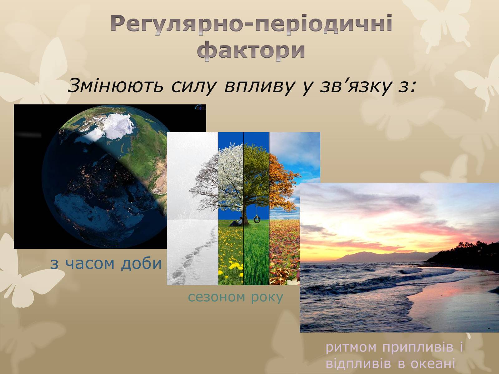 Презентація на тему «Екологічні чинники» (варіант 1) - Слайд #13