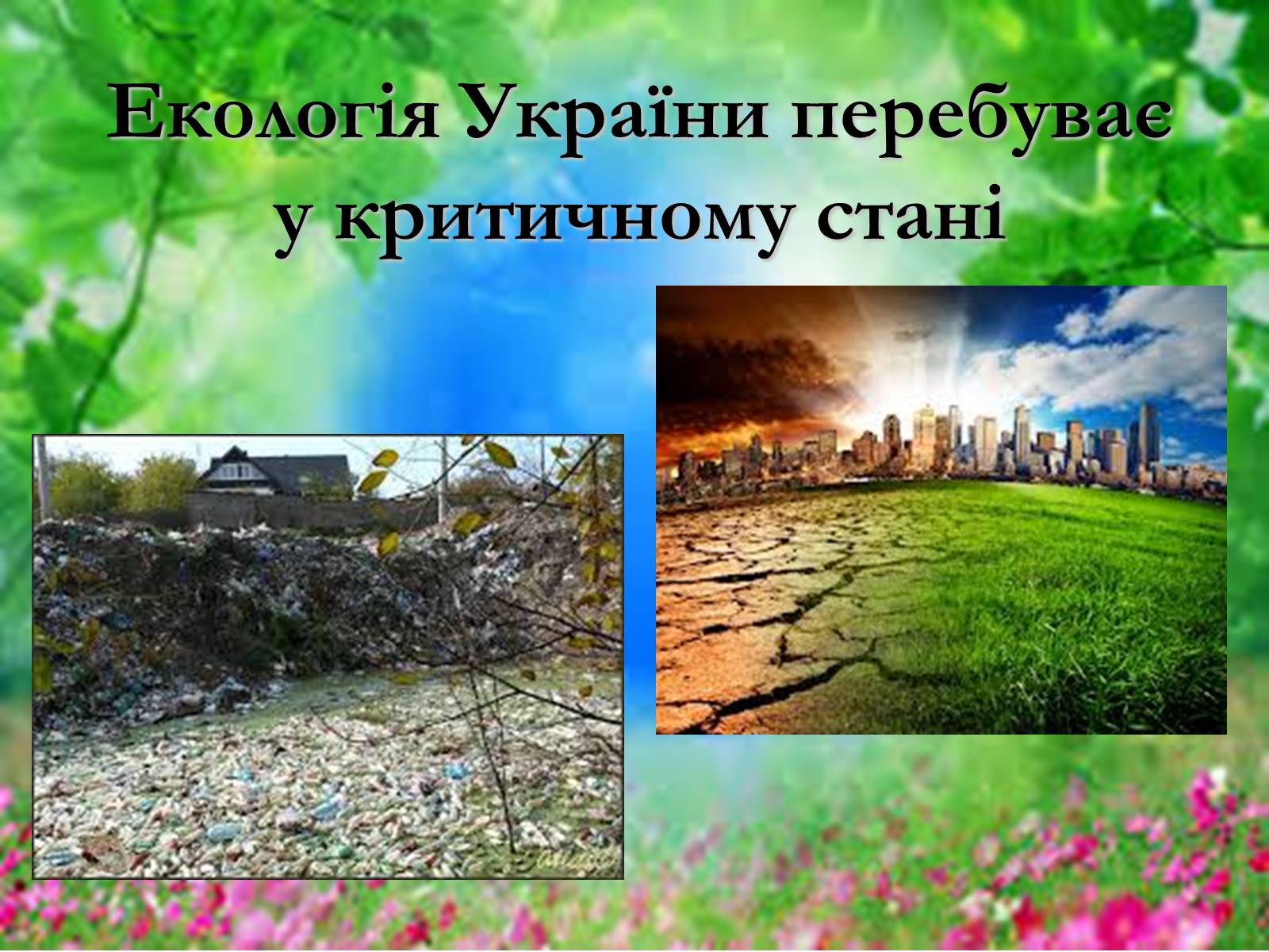 Презентація на тему «Основні поняття еколігії та її забруднення» - Слайд #8